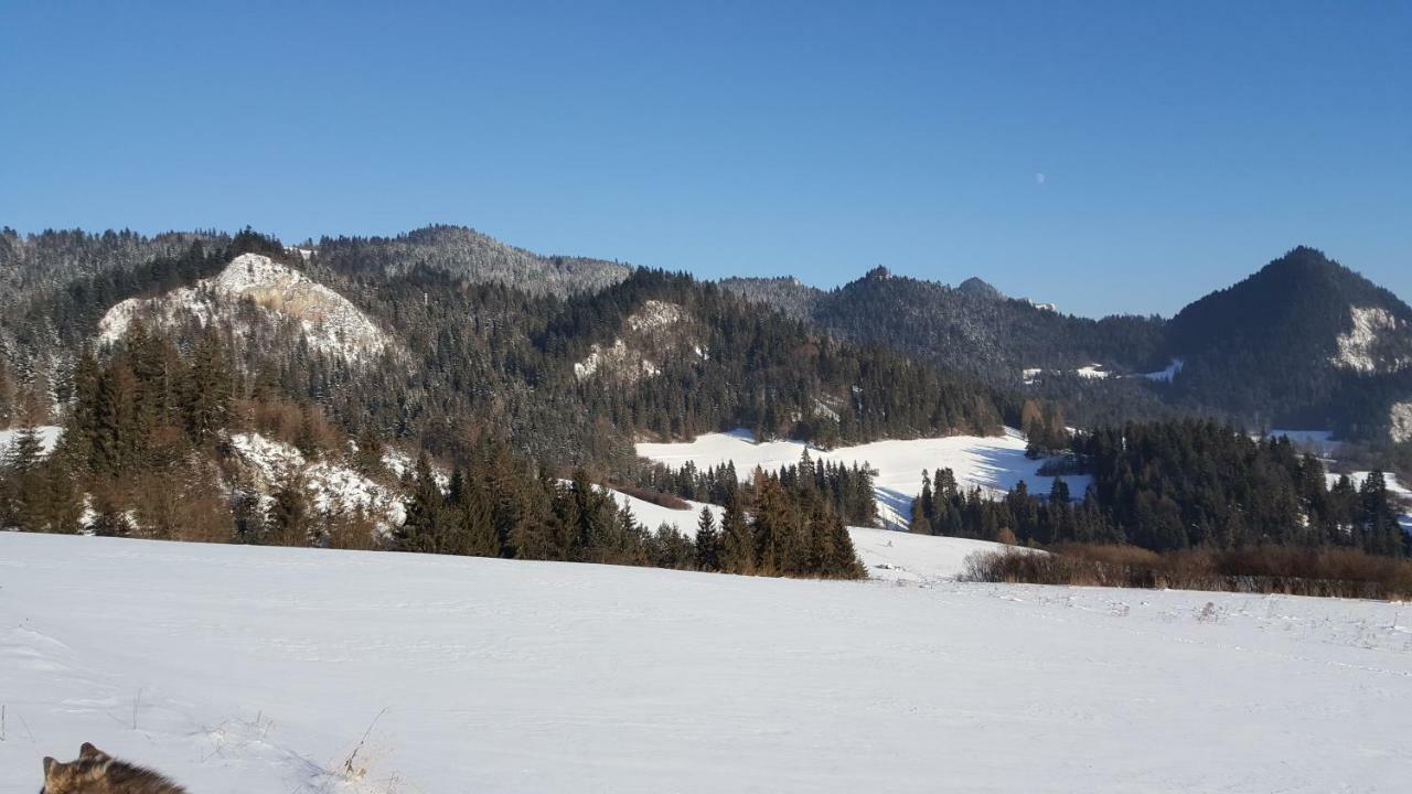 Pokoje U Pitera Sromowce Wyzne Exterior photo